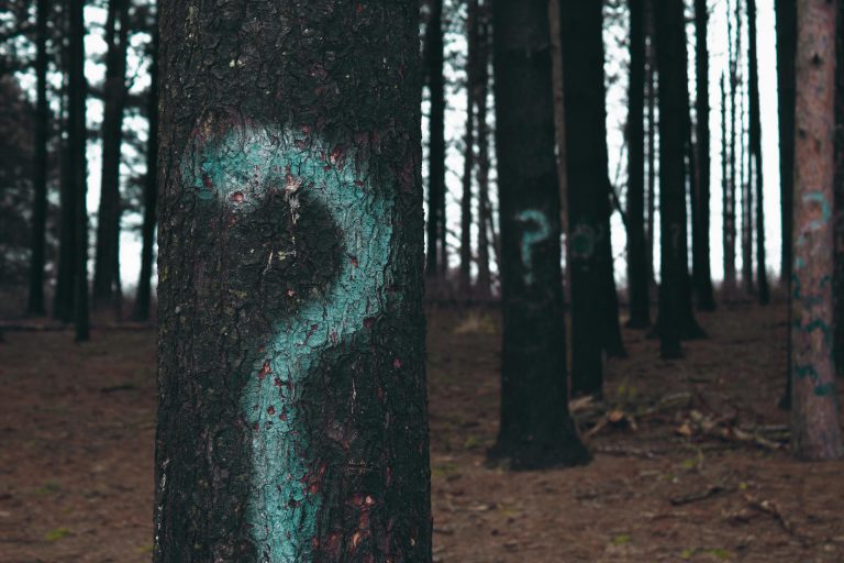 evan-dennis-i–IN3cvEjg-unsplash