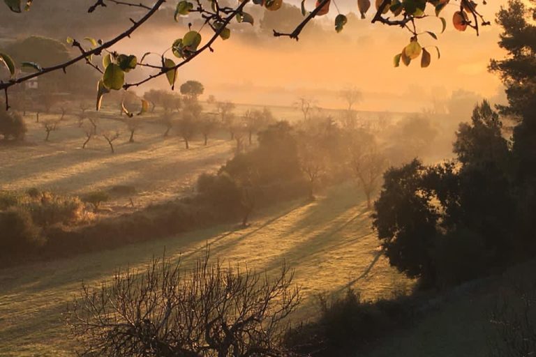 visualizing our death