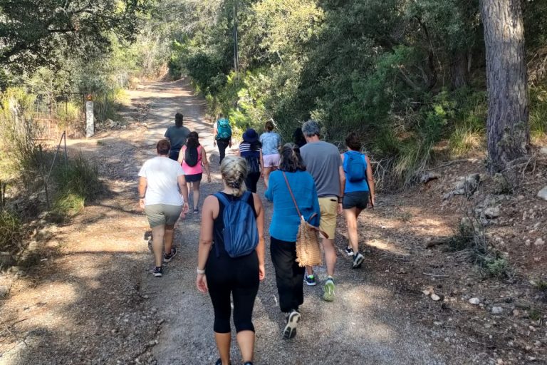 leaders on a nature walk