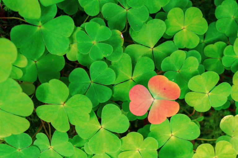 Integrating aha moments